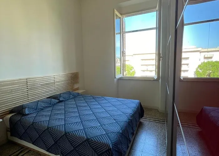 Stella * Специя